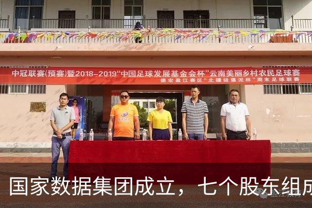国家数据集团成立，七个股东组成天团